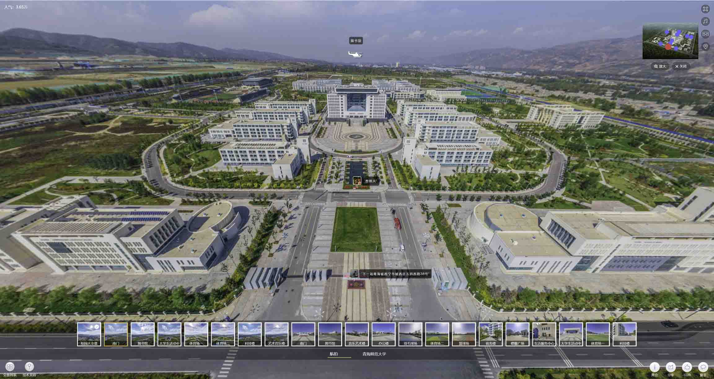 元宝油菜花-惊艳半生的花海仙境